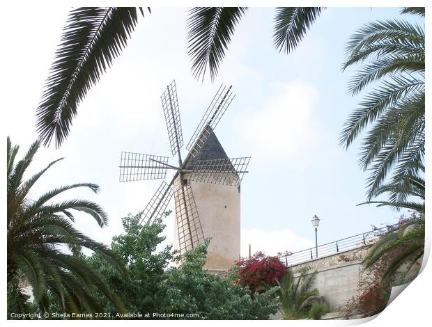 Windmill in Majorca  Print by Sheila Eames