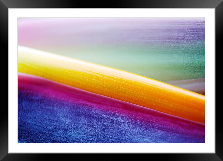Bird of Paradise Flower Abstract Framed Mounted Print by Neil Overy