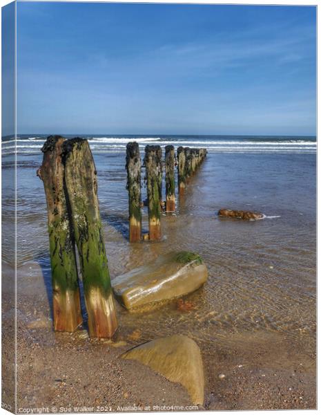 Seaside groins at Sandsend, Whitby Canvas Print by Sue Walker