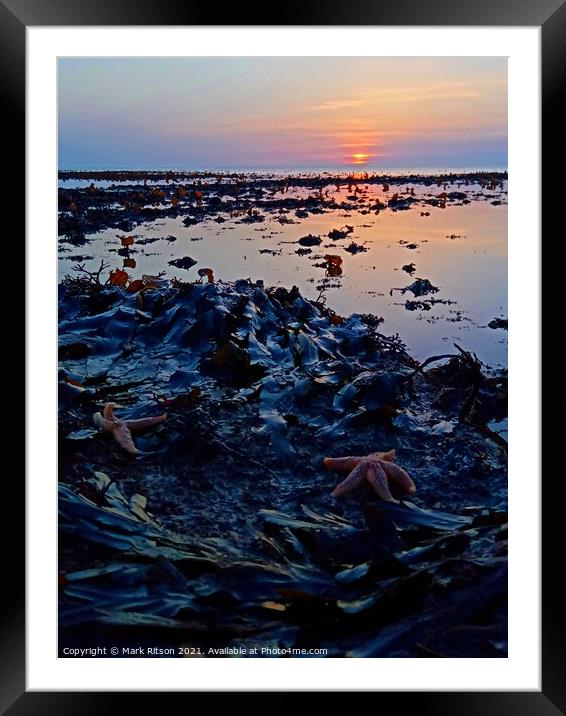 Starfish at Sunset  Framed Mounted Print by Mark Ritson