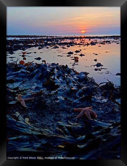 Starfish at Sunset  Framed Print by Mark Ritson