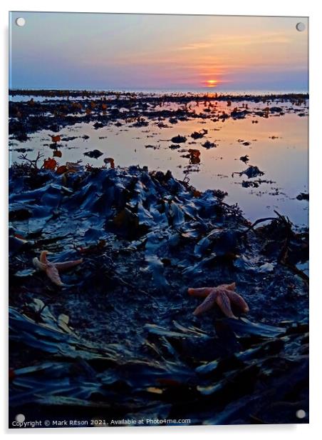 Starfish at Sunset  Acrylic by Mark Ritson