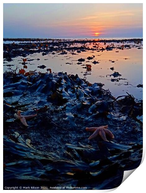 Starfish at Sunset  Print by Mark Ritson