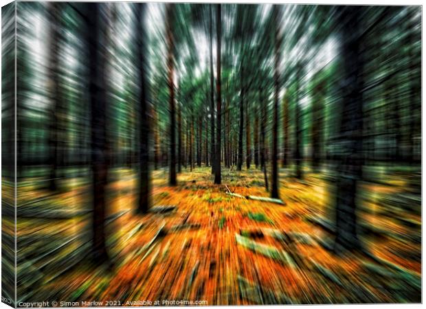 Enchanted Forest Journey Canvas Print by Simon Marlow