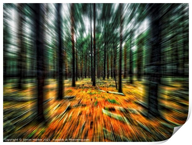 Enchanted Forest Journey Print by Simon Marlow