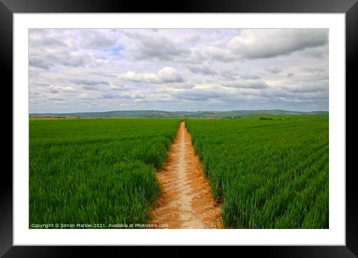 Natures Golden Path Framed Mounted Print by Simon Marlow