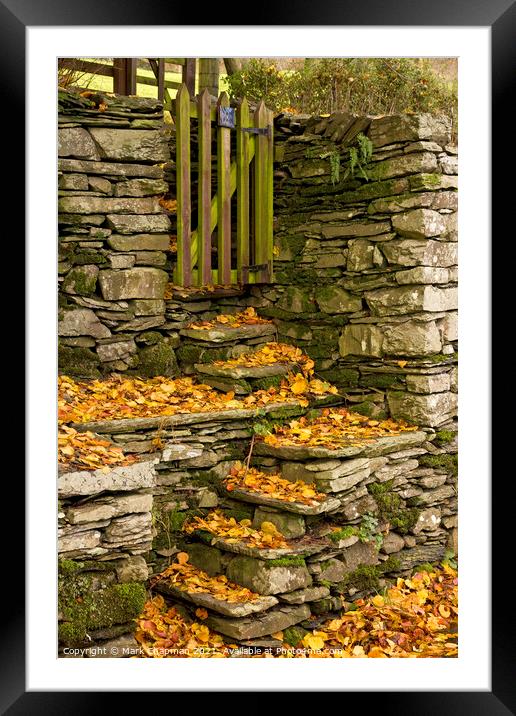 Stone steps and Autumn Leaves Framed Mounted Print by Photimageon UK