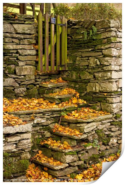Stone steps and Autumn Leaves Print by Photimageon UK