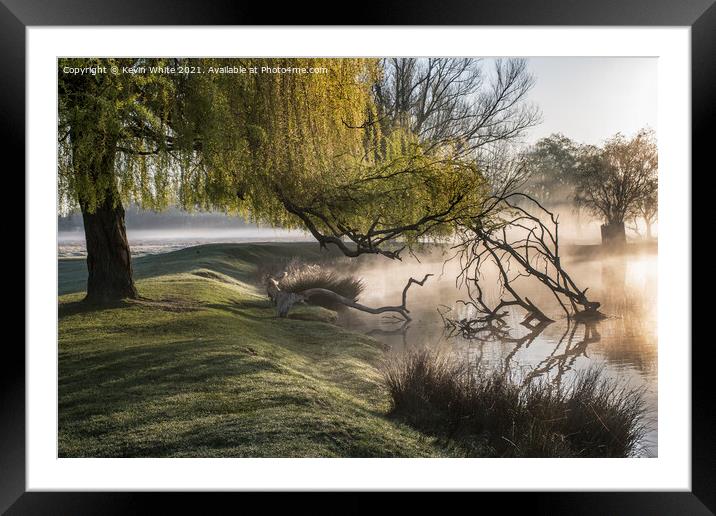 Willow tree over misty pond Framed Mounted Print by Kevin White