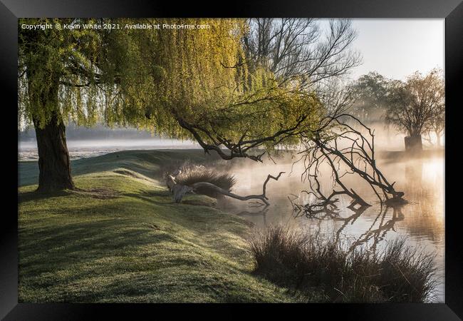 Willow tree over misty pond Framed Print by Kevin White