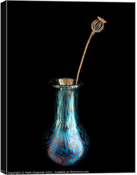 Dried Poppy seed head in glass vase Canvas Print by Photimageon UK