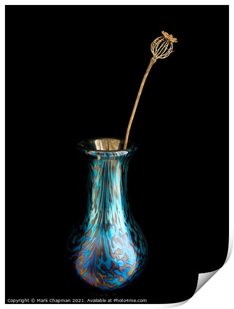 Dried Poppy seed head in glass vase Print by Photimageon UK