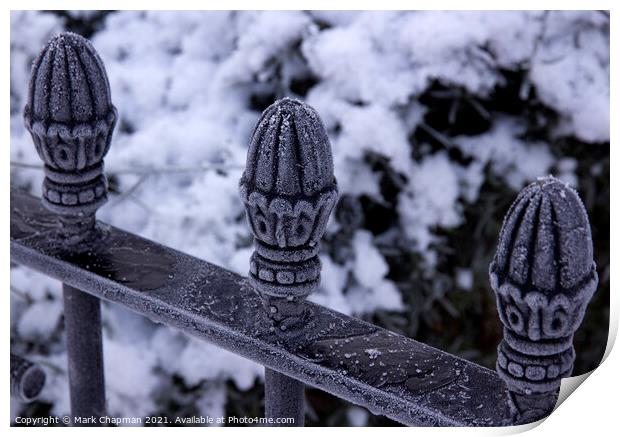Frosty metal railings Print by Photimageon UK