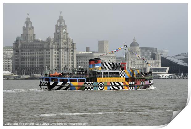 Mersey Ferry Snowdrop Print by Bernard Rose Photography