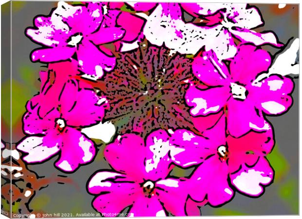 Digital abstract flowers Canvas Print by john hill