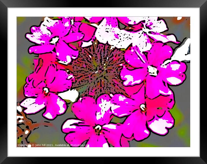 Digital abstract flowers Framed Mounted Print by john hill