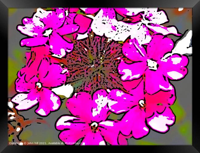 Digital abstract flowers Framed Print by john hill