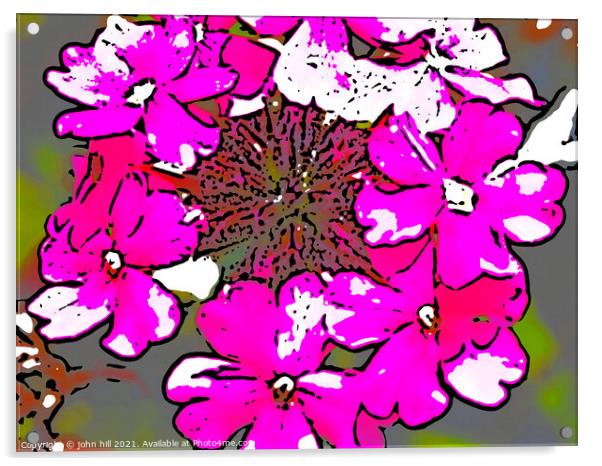Digital abstract flowers Acrylic by john hill