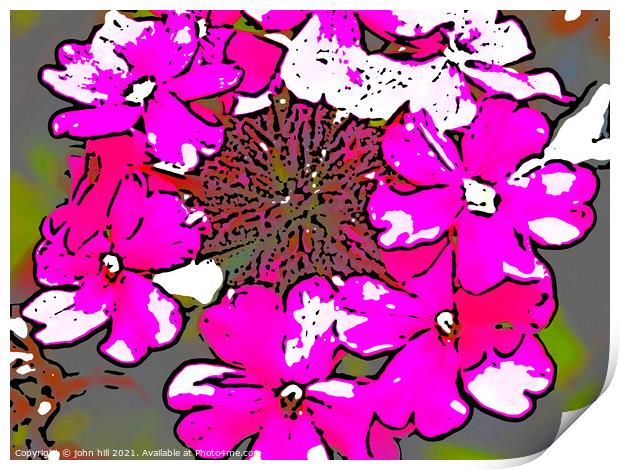 Digital abstract flowers Print by john hill
