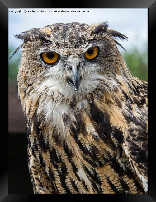 Majestic Eurasian Eagle Owl Framed Print by kathy white