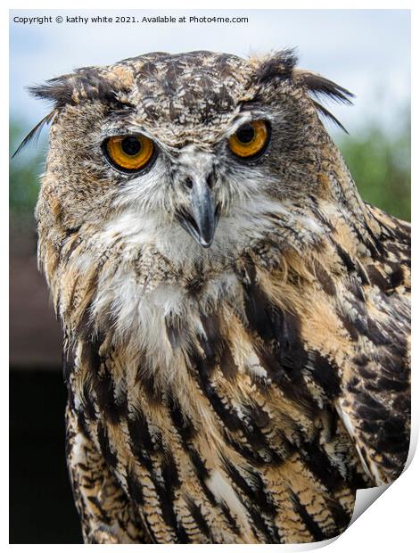 Majestic Eurasian Eagle Owl Print by kathy white