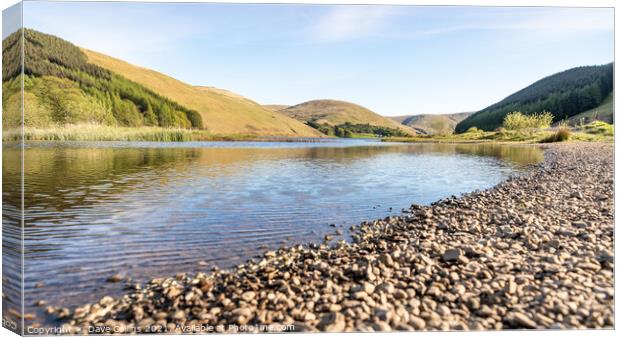 Loch of Lowes, Scotland Canvas Print by Dave Collins
