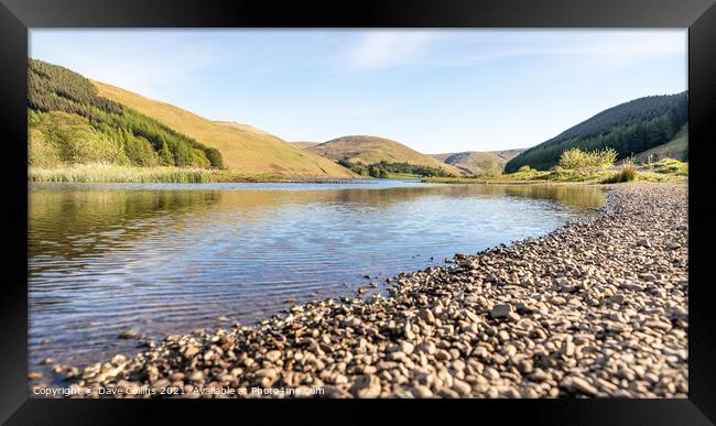 Loch of Lowes, Scotland Framed Print by Dave Collins