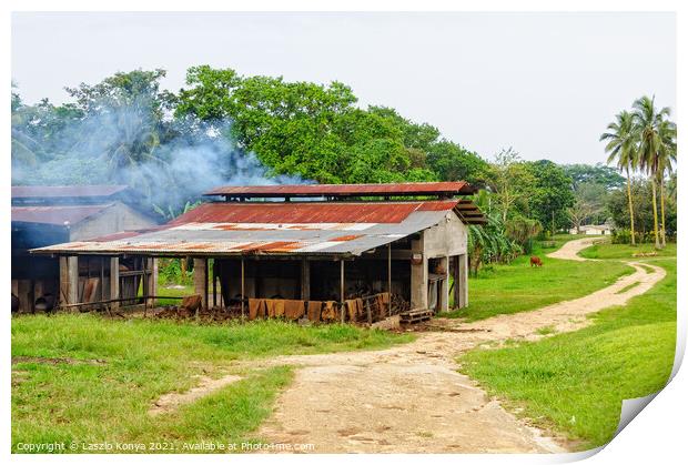 Small-scale oil production - Espiritu Santo Print by Laszlo Konya