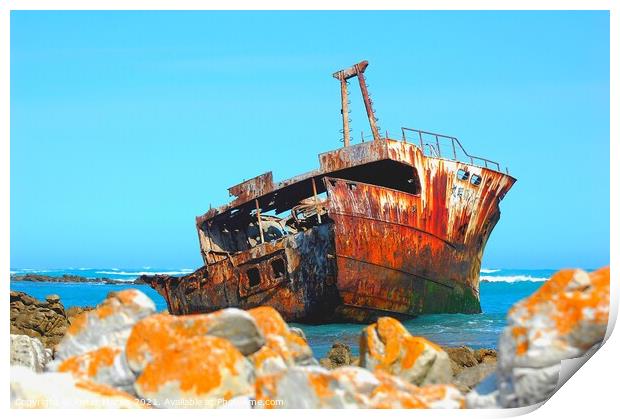 Shipwreck Cape Augulhas South Africa Print by Pieter Marais