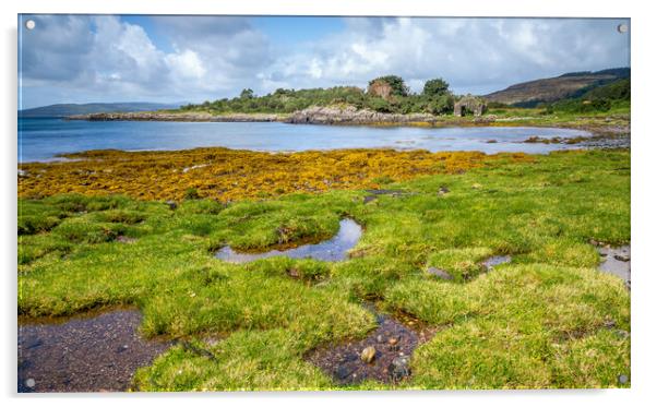 Scottish Coast - Morvern Peninsula Acrylic by John Frid