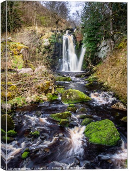 Posforth gyll falls in the Bolton abbey estate in the Yorkshire dales 446  Canvas Print by PHILIP CHALK