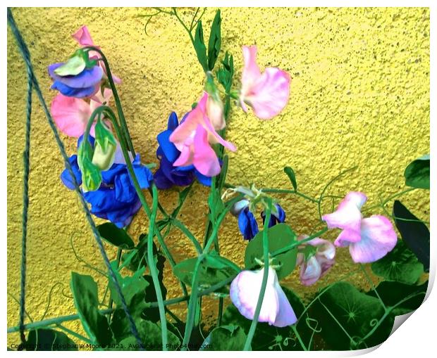 Pink and blue Flowers Print by Stephanie Moore
