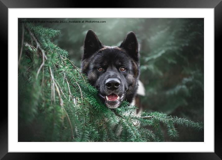The dog is sheltered by a tree tot Framed Mounted Print by maka magnolia