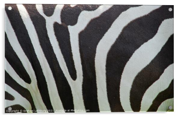 Zebra Skin Acrylic by Graham Lathbury