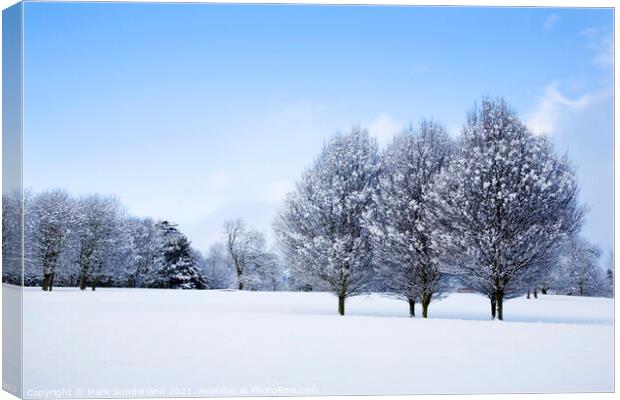 Winter Trees at Knaresborough Canvas Print by Mark Sunderland