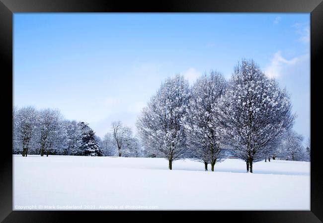Winter Trees at Knaresborough Framed Print by Mark Sunderland