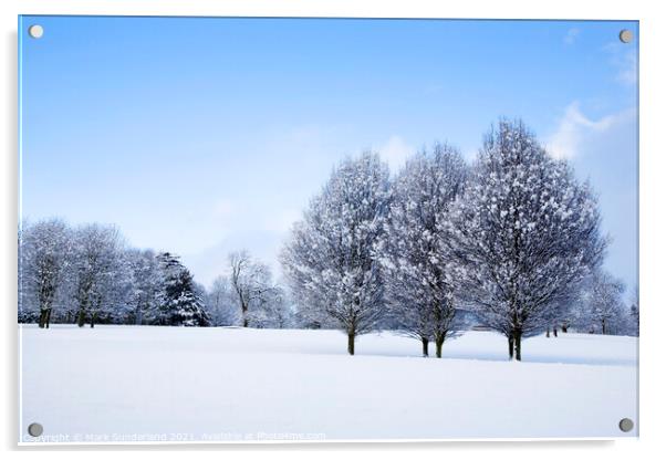 Winter Trees at Knaresborough Acrylic by Mark Sunderland