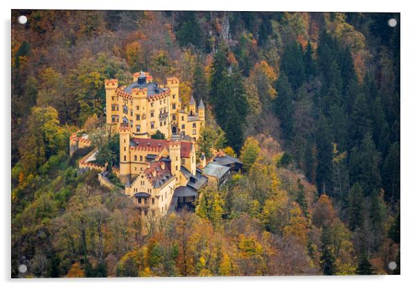 Hohenschwangau Castle in Autumn Acrylic by Arterra 