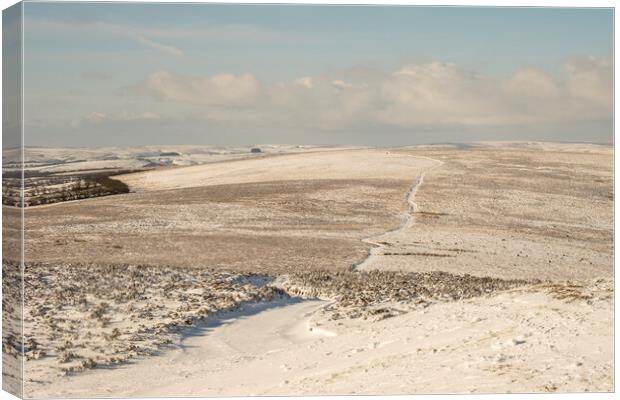 Snowy landscape around Dunkery Hill, Exmoor National Park Canvas Print by Shaun Davey