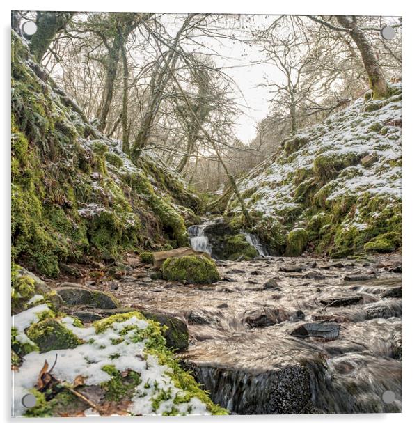 A stream tumbles down Aller Combe - part of the Snowy landscape around Dunkery Hill, Exmoor National Park Acrylic by Shaun Davey