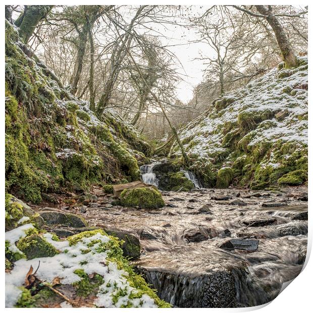 A stream tumbles down Aller Combe - part of the Snowy landscape around Dunkery Hill, Exmoor National Park Print by Shaun Davey