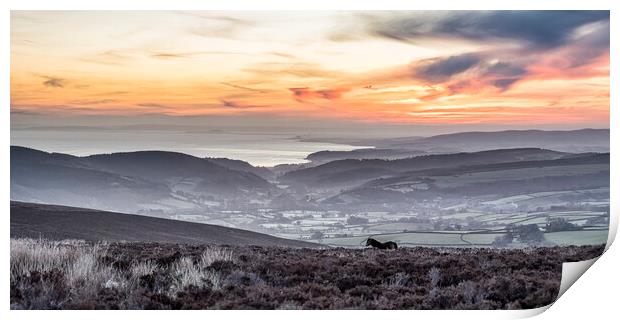 Colourful winter sunrise from Dunkery, Exmoor Print by Shaun Davey