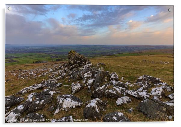 Cox Tor Dartmoor Acrylic by CHRIS BARNARD