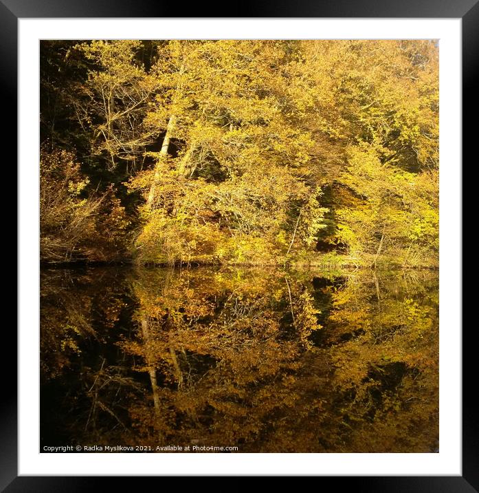 Tree Reflexion in the River Framed Mounted Print by Radka  Myslikova