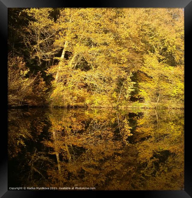 Tree Reflexion in the River Framed Print by Radka  Myslikova