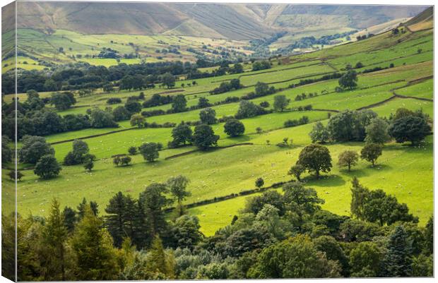 Green fields in the Vale of Edale, Derbyshire Canvas Print by Andrew Kearton