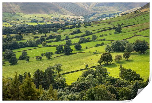 Green fields in the Vale of Edale, Derbyshire Print by Andrew Kearton