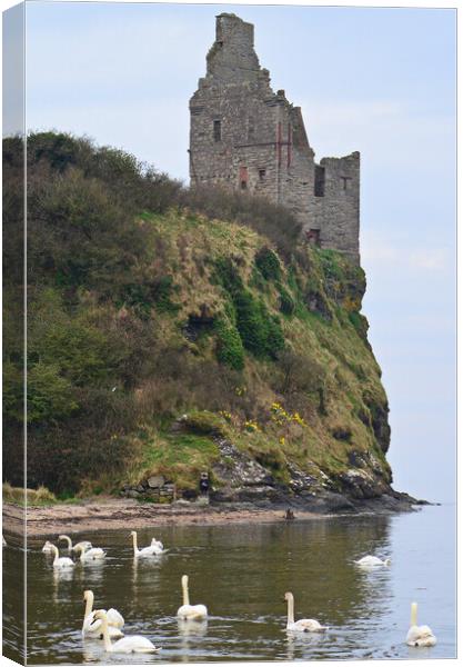Greenan Castle Ayr Canvas Print by Allan Durward Photography