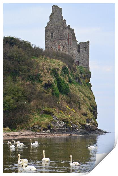 Greenan Castle Ayr Print by Allan Durward Photography