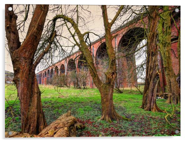 Trees by the viaduct Acrylic by David McCulloch